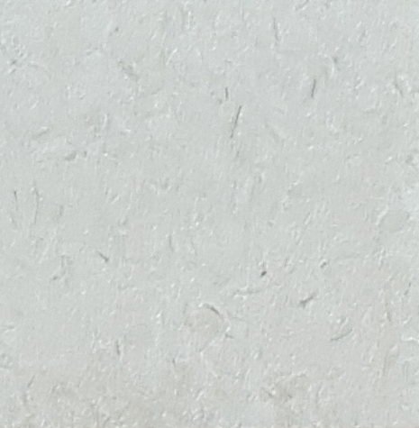70a29f637aa6072e74aefee497658650_1529220467_5373.png