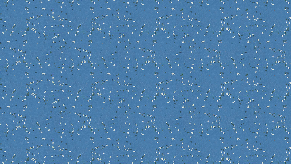 cd9a03004a8e094127ccbfb18ce99644_1529133832_9924.jpg